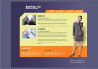 The new flash business template page